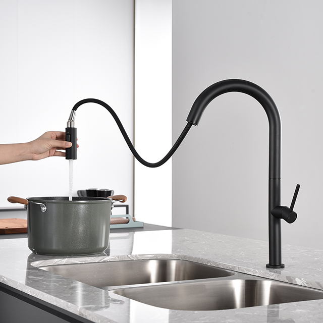 Black Stainless Steel Pull Down Kitchen Faucet