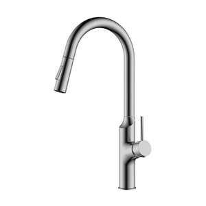 Brushed steel single handle kitchen faucet with pull down sprayer