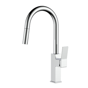 Chrome Stainless Steel Kitchen Tap with Pull Out Spray