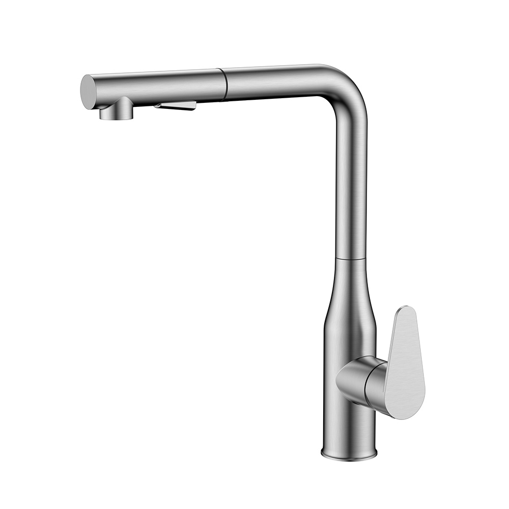 Stainless steel kitchen mixer with pull out spray