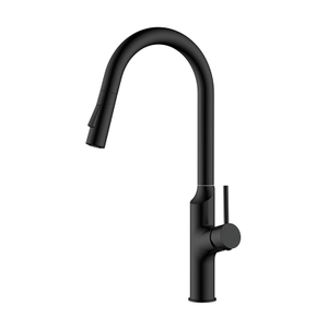 Matte black single handle kitchen faucet with pull down sprayer