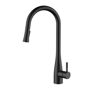 Modern matte black kitchen faucet stainless steel