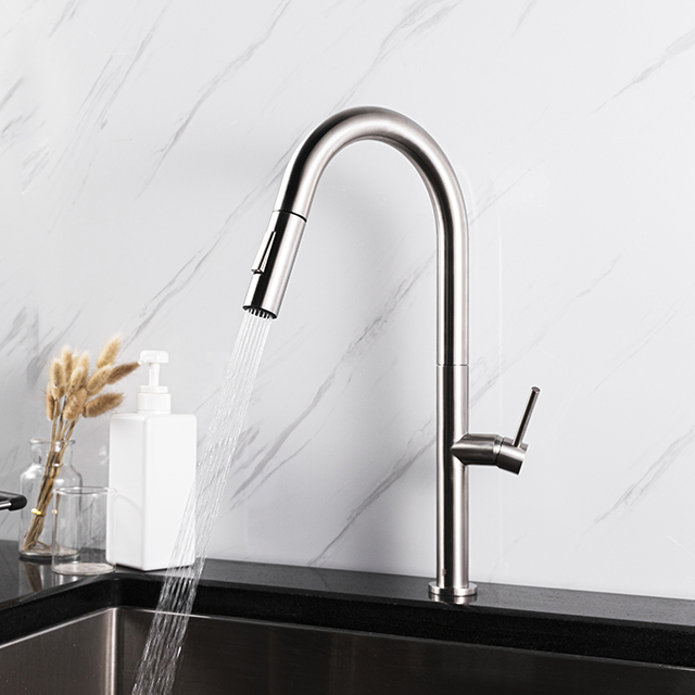 Satin Stainless Steel Pull Down Kitchen Faucet