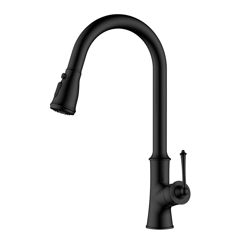 Stainless steel classic satin pull down kitchen sink faucet Arc Fictures