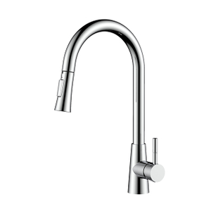 Chrome Stainless Steel Pull Out Kitchen Tap