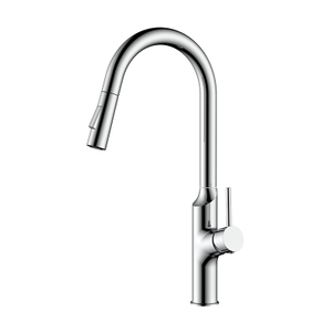 Chrome single handle kitchen faucet with pull down sprayer