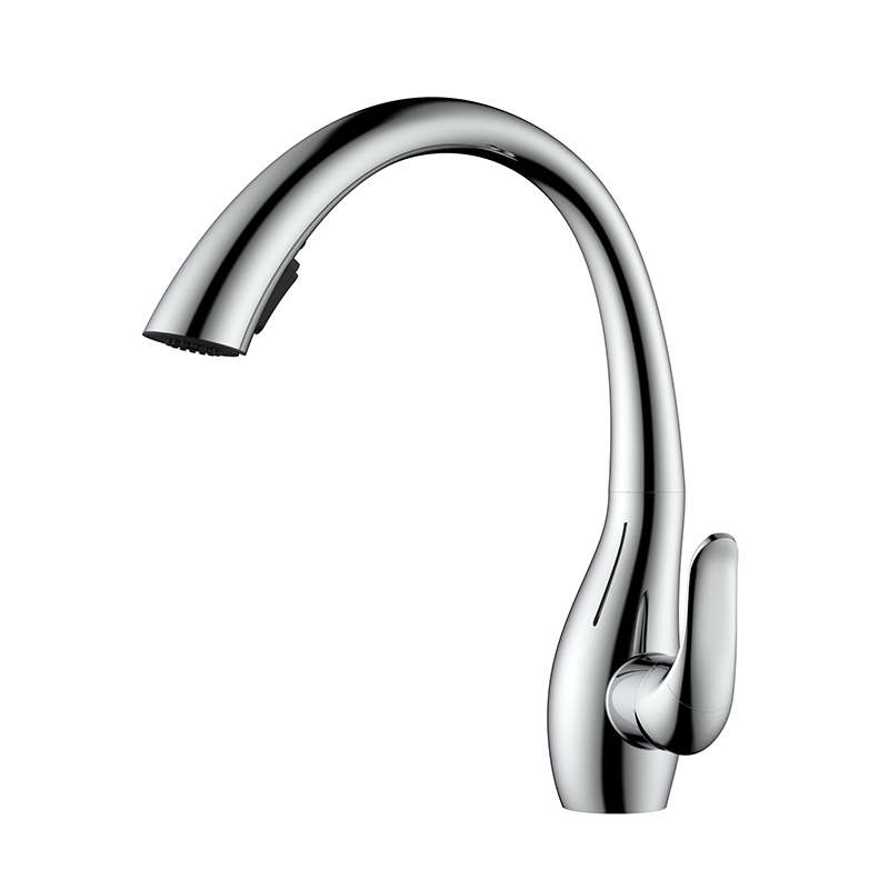 Stainless steel kitchen sink mixer tap with pull out spray