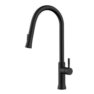 Modern Matte Black Stainless Steel Pull Out Kitchen Faucet