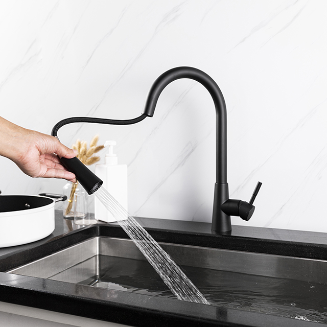 Matte Black Stainless Steel Pull Out Kitchen Tap