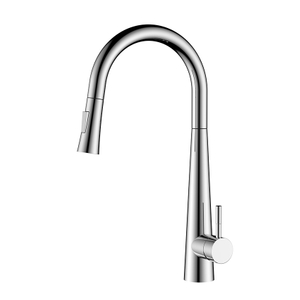 Stainless steel chrome pull out kitchen tap