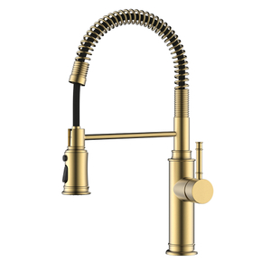 Bamboo style sping coil brushed gold pull down kitchen faucet